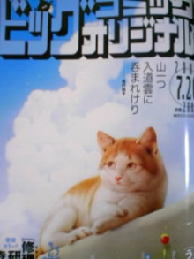 きんきんきらきら夕陽が沈む♪