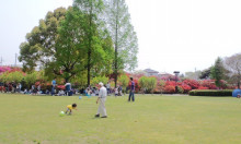 $きんきんきらきら夕陽が沈む♪